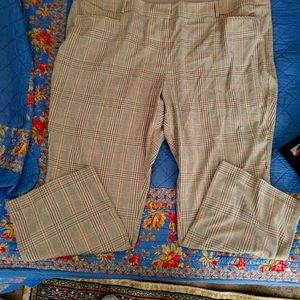 Lane Bryant Allie Pants